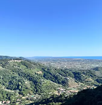 Foto annuncio 48