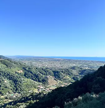 Foto annuncio 38