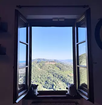 Foto annuncio 36