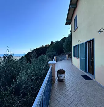 Foto annuncio 60