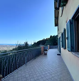 Foto annuncio 8