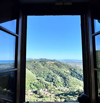 Foto annuncio 51