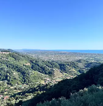 Foto annuncio 40
