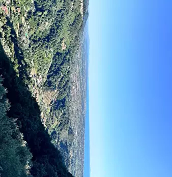 Foto annuncio 41