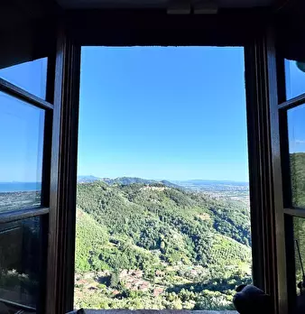 Foto annuncio 50