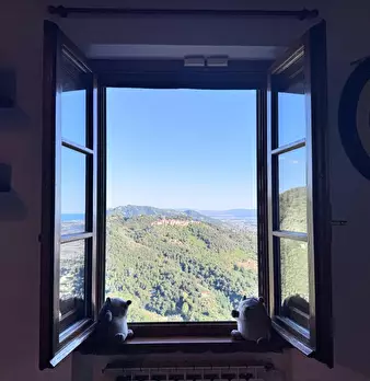 Foto annuncio 37