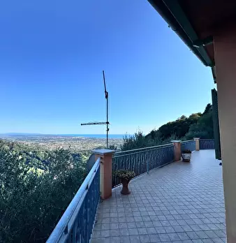 Foto annuncio 9