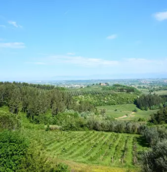Foto annuncio 13