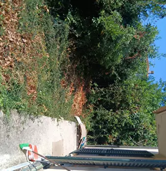 Foto annuncio 21