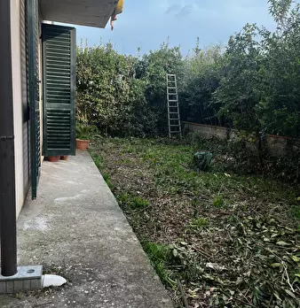 Foto annuncio 46