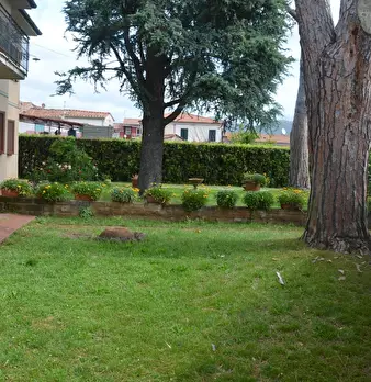 Foto annuncio 3