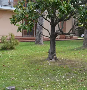 Foto annuncio 2