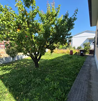 Foto annuncio 25