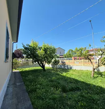 Foto annuncio 26