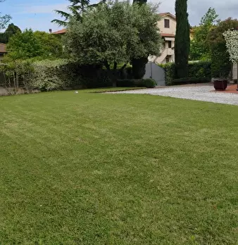 Foto annuncio 28