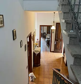 Foto annuncio 26
