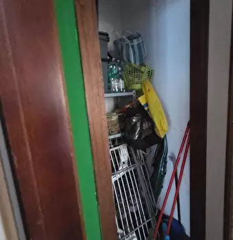 Foto annuncio 7