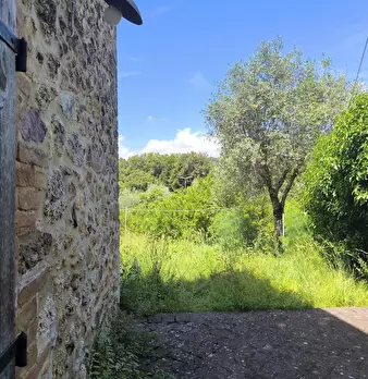 Foto annuncio 16
