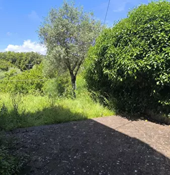 Foto annuncio 32