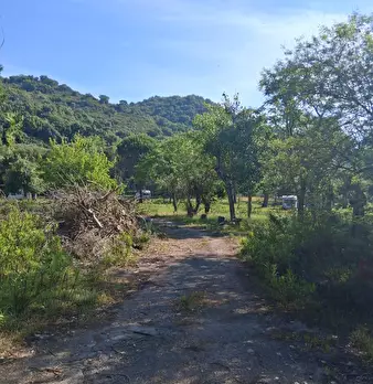 Foto annuncio 8