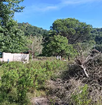 Foto annuncio 11