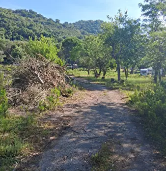 Foto annuncio 6