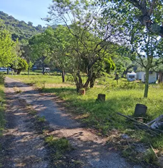 Foto annuncio 9