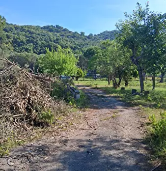 Foto annuncio 7