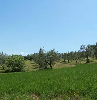 Foto annuncio 5