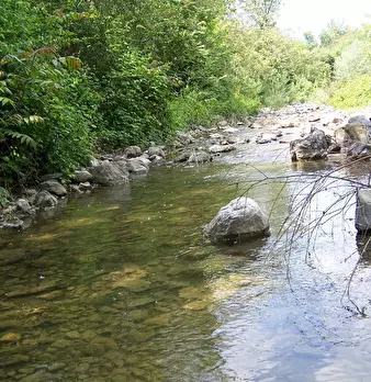 Foto annuncio 6
