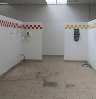 Foto annuncio 10