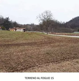 Foto annuncio 12