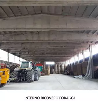 Foto annuncio 8