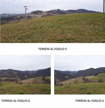 Foto annuncio 11