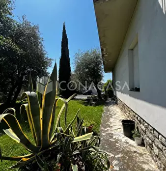Foto annuncio 47