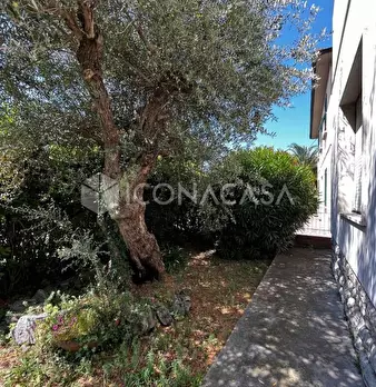 Foto annuncio 49