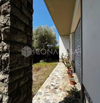 Foto annuncio 50