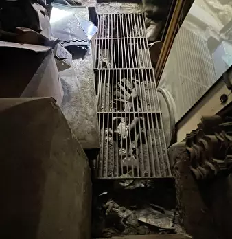 Foto annuncio 51