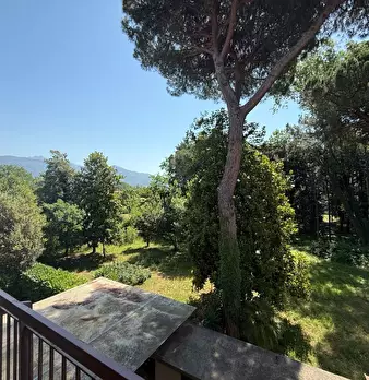 Foto annuncio 23