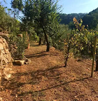 Foto annuncio 31