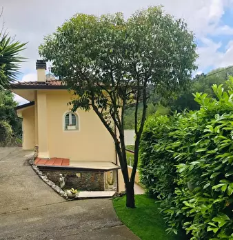 Foto annuncio 30