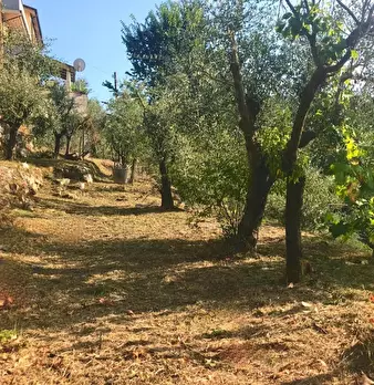 Foto annuncio 32