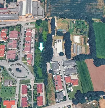 Foto annuncio 1