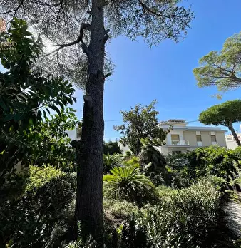 Foto annuncio 17