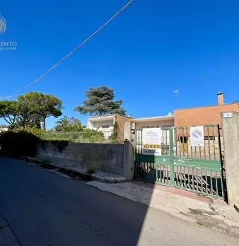 Foto annuncio 27