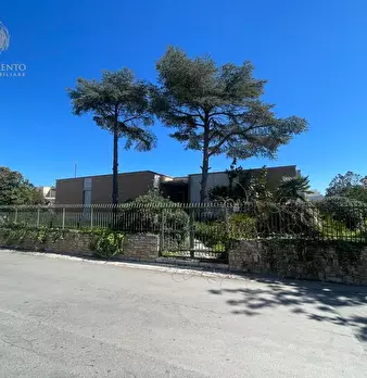 Foto annuncio 36