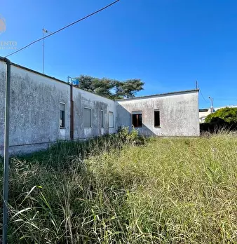 Foto annuncio 26