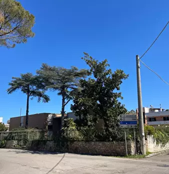 Foto annuncio 29
