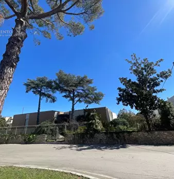 Foto annuncio 37