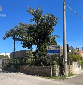 Foto annuncio 42